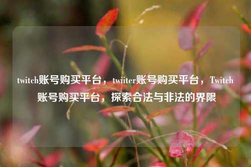 twitch账号购买平台，twiiter账号购买平台，Twitch 账号购买平台，探索合法与非法的界限