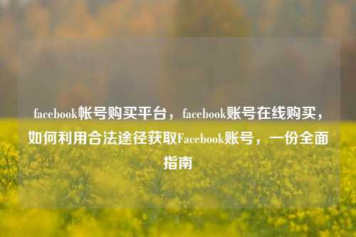 facebook帐号购买平台，facebook账号在线购买，如何利用合法途径获取Facebook账号，一份全面指南