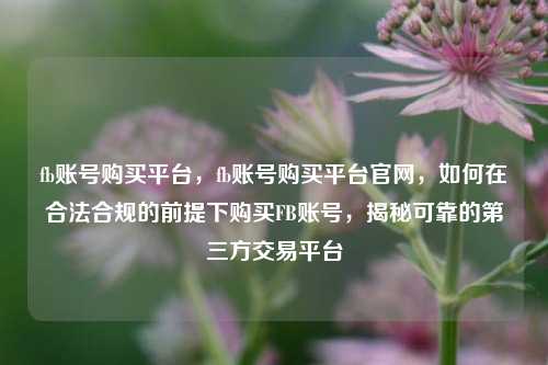 fb账号购买平台，fb账号购买平台官网，如何在合法合规的前提下购买FB账号，揭秘可靠的第三方交易平台