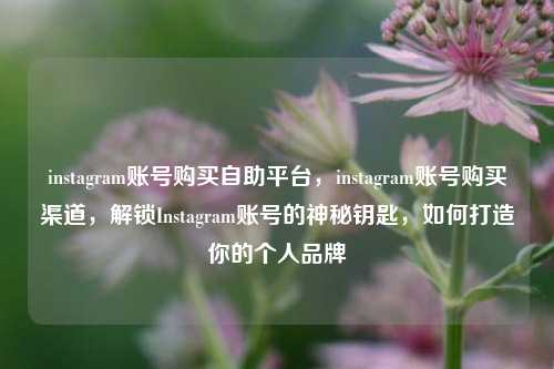instagram账号购买自助平台	，instagram账号购买渠道，解锁Instagram账号的神秘钥匙，如何打造你的个人品牌  第1张