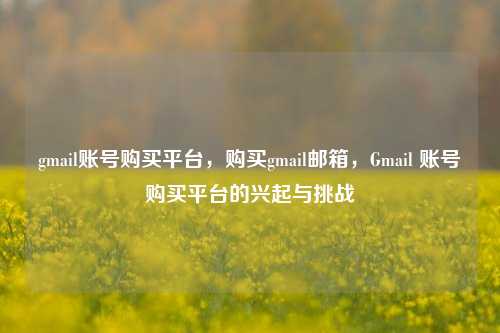 gmail账号购买平台，购买gmail邮箱，Gmail 账号购买平台的兴起与挑战