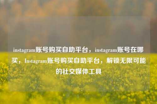 instagram账号购买自助平台，instagram账号在哪买，Instagram账号购买自助平台，解锁无限可能的社交媒体工具
