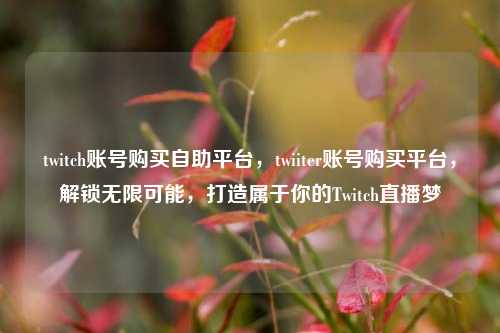 twitch账号购买自助平台，twiiter账号购买平台，解锁无限可能，打造属于你的Twitch直播梦
