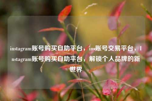 instagram账号购买自助平台，ins账号交易平台，Instagram账号购买自助平台，解锁个人品牌的新世界