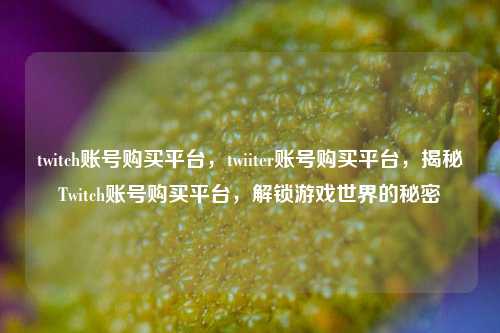 twitch账号购买平台，twiiter账号购买平台，揭秘Twitch账号购买平台，解锁游戏世界的秘密