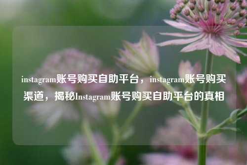 instagram账号购买自助平台，instagram账号购买渠道	，揭秘Instagram账号购买自助平台的真相  第1张