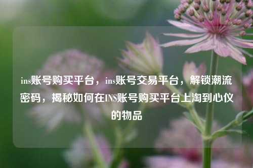 ins账号购买平台，ins账号交易平台，解锁潮流密码，揭秘如何在INS账号购买平台上淘到心仪的物品