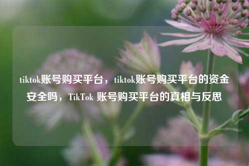 tiktok账号购买平台，tiktok账号购买平台的资金安全吗，TikTok 账号购买平台的真相与反思