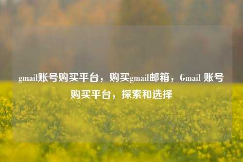 gmail账号购买平台，购买gmail邮箱，Gmail 账号购买平台，探索和选择