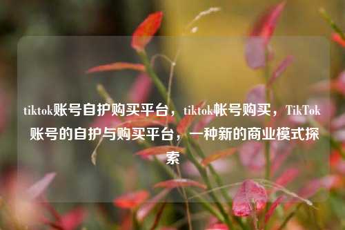 tiktok账号自护购买平台，tiktok帐号购买，TikTok 账号的自护与购买平台，一种新的商业模式探索