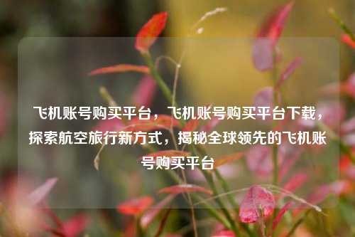 飞机账号购买平台，飞机账号购买平台下载，探索航空旅行新方式，揭秘全球领先的飞机账号购买平台