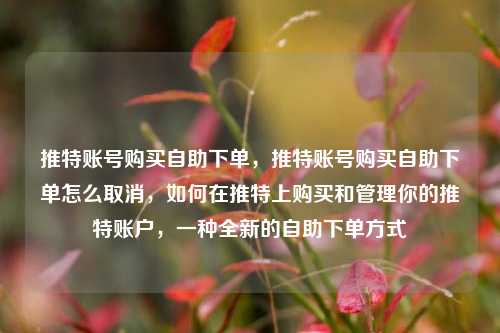 推特账号购买自助下单，推特账号购买自助下单怎么取消，如何在推特上购买和管理你的推特账户，一种全新的自助下单方式