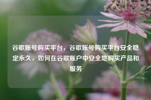 谷歌账号购买平台，谷歌账号购买平台安全稳定永久，如何在谷歌账户中安全地购买产品和服务