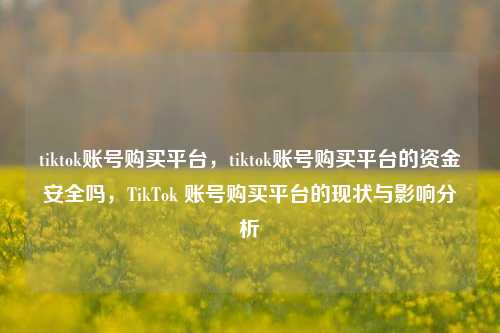 tiktok账号购买平台，tiktok账号购买平台的资金安全吗，TikTok 账号购买平台的现状与影响分析