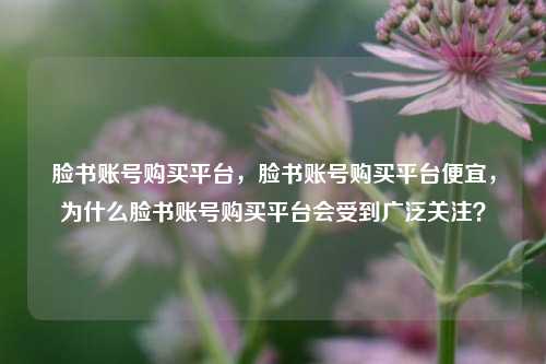 脸书账号购买平台，脸书账号购买平台便宜，为什么脸书账号购买平台会受到广泛关注？