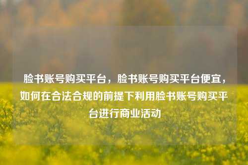 脸书账号购买平台，脸书账号购买平台便宜，如何在合法合规的前提下利用脸书账号购买平台进行商业活动