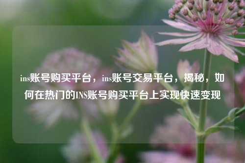 ins账号购买平台，ins账号交易平台	，揭秘，如何在热门的INS账号购买平台上实现快速变现  第1张
