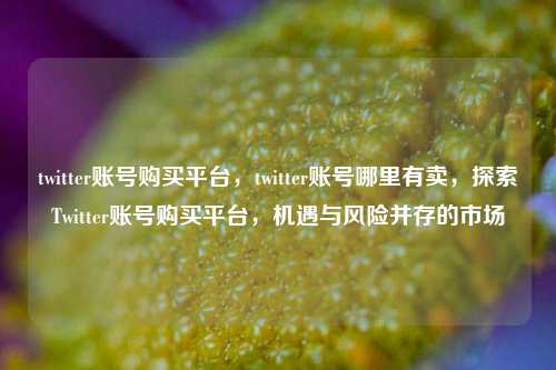 twitter账号购买平台，twitter账号哪里有卖，探索Twitter账号购买平台，机遇与风险并存的市场