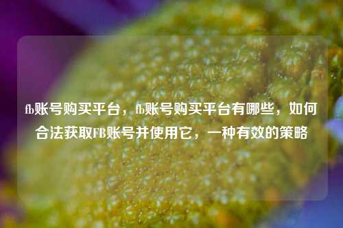 fb账号购买平台，fb账号购买平台有哪些，如何合法获取FB账号并使用它，一种有效的策略
