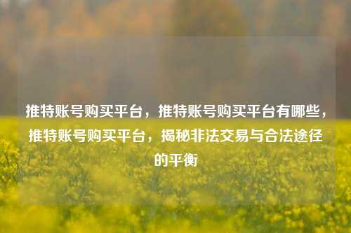 推特账号购买平台，推特账号购买平台有哪些，推特账号购买平台，揭秘非法交易与合法途径的平衡