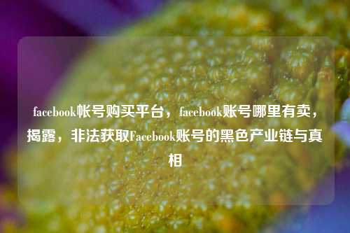 facebook帐号购买平台，facebook账号哪里有卖，揭露，非法获取Facebook账号的黑色产业链与真相
