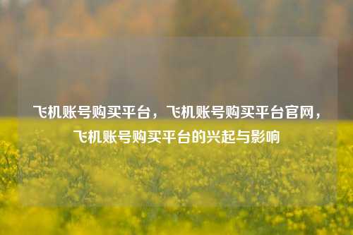 飞机账号购买平台，飞机账号购买平台官网，飞机账号购买平台的兴起与影响