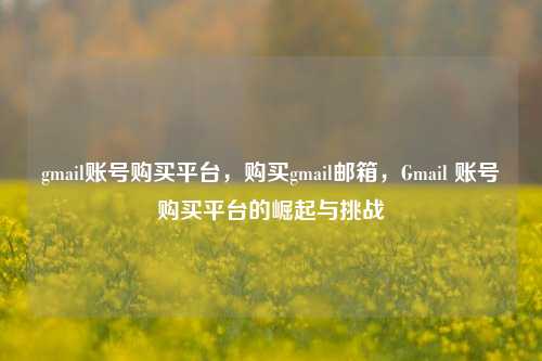 gmail账号购买平台，购买gmail邮箱，Gmail 账号购买平台的崛起与挑战