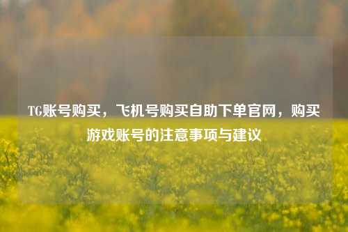 TG账号购买，飞机号购买自助下单官网，购买游戏账号的注意事项与建议