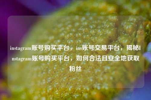 instagram账号购买平台，ins账号交易平台，揭秘Instagram账号购买平台，如何合法且安全地获取粉丝