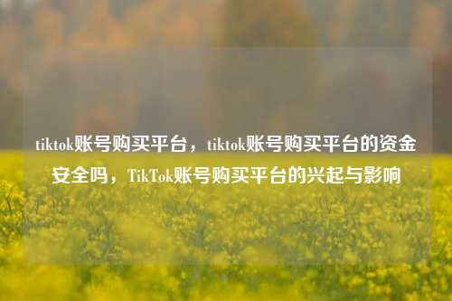 tiktok账号购买平台，tiktok账号购买平台的资金安全吗，TikTok账号购买平台的兴起与影响