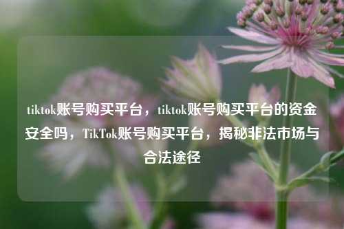 tiktok账号购买平台，tiktok账号购买平台的资金安全吗，TikTok账号购买平台，揭秘非法市场与合法途径