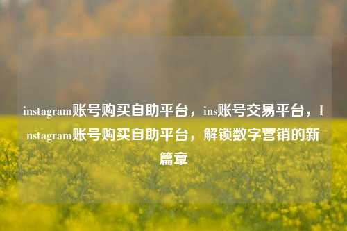 instagram账号购买自助平台，ins账号交易平台，Instagram账号购买自助平台，解锁数字营销的新篇章