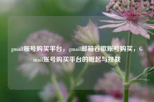 gmail账号购买平台，gmail邮箱谷歌账号购买，Gmail账号购买平台的崛起与挑战