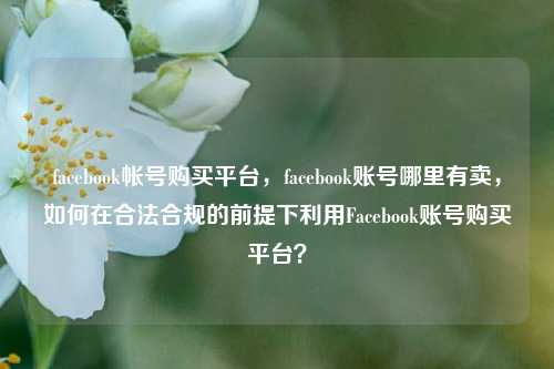 facebook帐号购买平台，facebook账号哪里有卖，如何在合法合规的前提下利用Facebook账号购买平台？