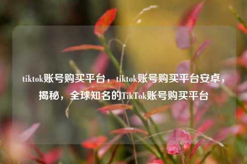 tiktok账号购买平台，tiktok账号购买平台安卓，揭秘，全球知名的TikTok账号购买平台