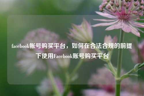 facebook帐号购买平台，如何在合法合规的前提下使用Facebook账号购买平台