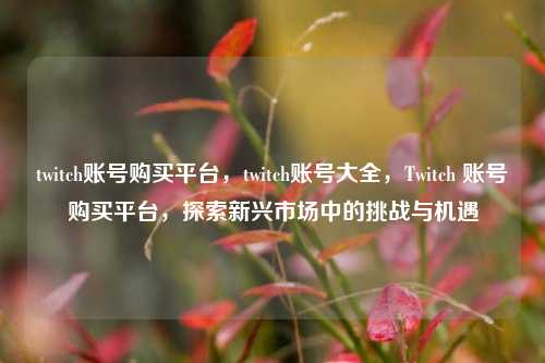 twitch账号购买平台，twitch账号大全，Twitch 账号购买平台，探索新兴市场中的挑战与机遇