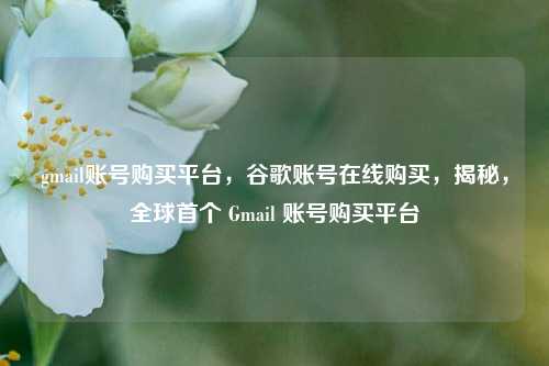 gmail账号购买平台，谷歌账号在线购买，揭秘，全球首个 Gmail 账号购买平台