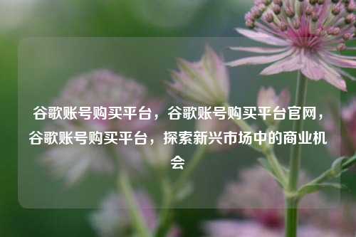 谷歌账号购买平台，谷歌账号购买平台官网，谷歌账号购买平台，探索新兴市场中的商业机会
