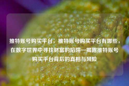 推特账号购买平台，推特账号购买平台有哪些，在数字世界中寻找财富的陷阱—揭露推特账号购买平台背后的真相与风险