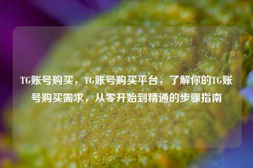 TG账号购买，TG账号购买平台，了解你的TG账号购买需求，从零开始到精通的步骤指南