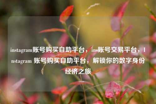 instagram账号购买自助平台，ins账号交易平台，Instagram 账号购买自助平台，解锁你的数字身份经济之旅