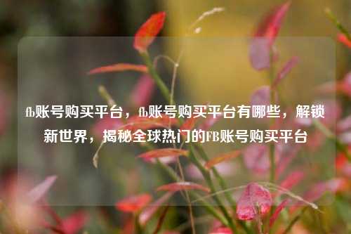fb账号购买平台，fb账号购买平台有哪些，解锁新世界，揭秘全球热门的FB账号购买平台