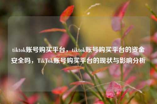 tiktok账号购买平台，tiktok账号购买平台的资金安全吗，TikTok账号购买平台的现状与影响分析