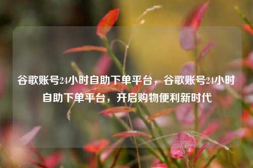 谷歌账号24小时自助下单平台，谷歌账号24小时自助下单平台，开启购物便利新时代