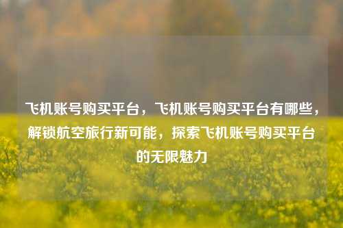 飞机账号购买平台，飞机账号购买平台有哪些，解锁航空旅行新可能，探索飞机账号购买平台的无限魅力