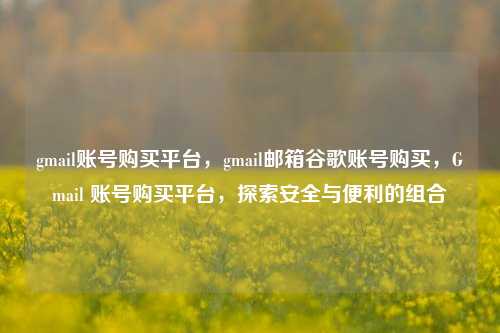 gmail账号购买平台，gmail邮箱谷歌账号购买，Gmail 账号购买平台，探索安全与便利的组合