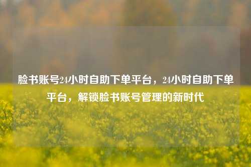 脸书账号24小时自助下单平台，24小时自助下单平台	，解锁脸书账号管理的新时代  第1张
