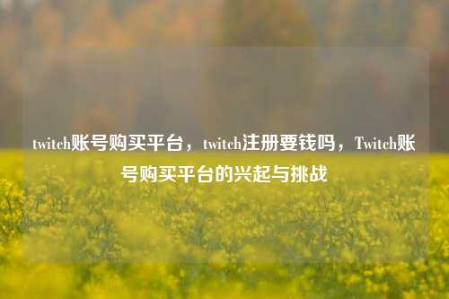 twitch账号购买平台，twitch注册要钱吗，Twitch账号购买平台的兴起与挑战