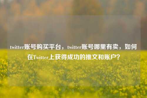 twitter账号购买平台，twitter账号哪里有卖，如何在Twitter上获得成功的推文和账户？